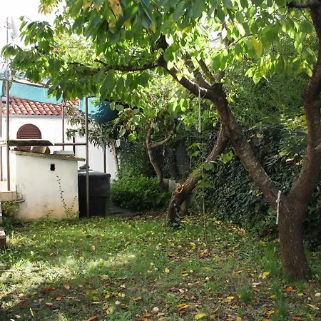 With A Parking Space - 5852 Apartment *